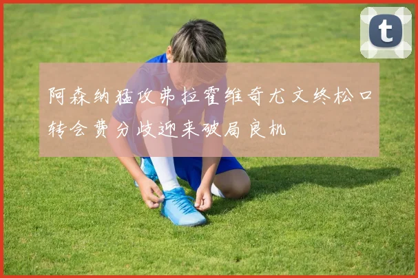 阿森纳猛攻弗拉霍维奇尤文终松口转会费分歧迎来破局良机