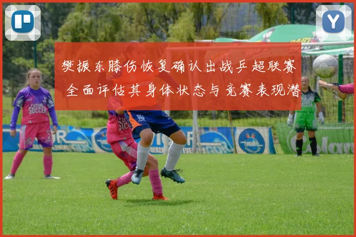 樊振东膝伤恢复确认出战乒超联赛 全面评估其身体状态与竞赛表现潜力
